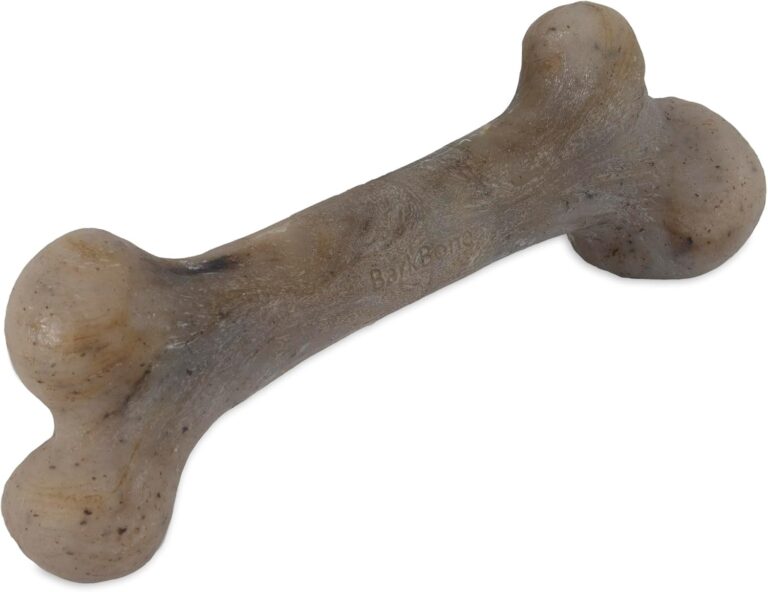 Pet Qwerks Dinosaur BarkBone, Nylon Dog Bone for Aggressive Chewers Chew Dog Toy, Bacon Flavor - Medium 8.5"