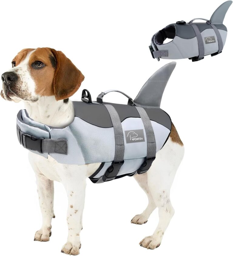 Dog Life Jacket, Lifesaver Vests with Rescue Handle, High Flotation Swimsuit for Swimming, Boating, and Water Safety (M)