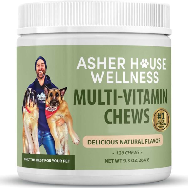 Asher House Wellness Dog Multivitamin Chews - Dog Vitamins and Supplements, Soft Chew for Pet Dogs with Probiotics, Flaxseed, Colostrum - Comprehensive Health Support from Puppy to Senior, 120 Chews
