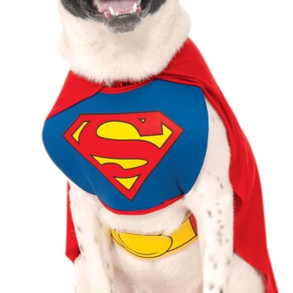 DC Comics Superheroes: Superman Pet Costume for For Dogs or Cats by Rubies, XL