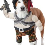 California Costumes Action Hero Pet Costume, Medium