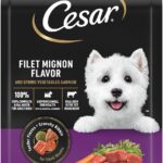 Cesar Small Breed Dry Dog Food for Small Dogs, Filet Mignon Flavor and Spring Vegetables Garnish, 5 lb Bag