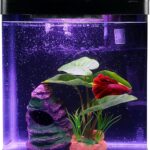 Betta Fish Tank Self Cleaning Glass 2 Gallon Small Nano Aquarium Starter Kits Desktop Room Decor w/LED Light Decorations & Whisper Filters Water Pump (Fish Tank)