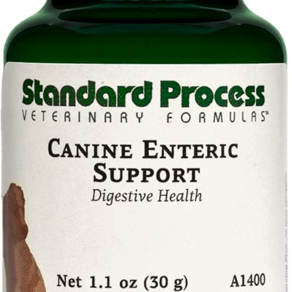 Standard Process Inc. Canine Enteric Support - Digestive System Support for Dogs - Nutritional Dog Supplement for Gut Health - Canine Supplement Formula to Aid Healthy Digestion - 30 g