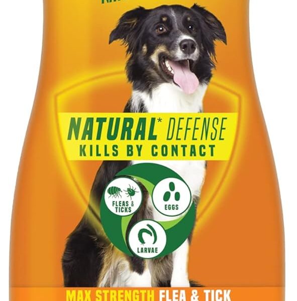Flick! Max Strength Flea Shampoo for Dogs, Natural Flea and Tick Prevention for Dogs, Safe and Powerful Treatment & Control, Made in USA, 20oz