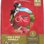 Purina ONE Dry Dog Food Lamb and Rice Formula - 16.5 lb. Bag