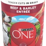 Purina ONE Natural Wet Dog Food Gravy, Tender Cuts in Gravy Beef and Barley Entre - 13 Ounce (Pack of 12)