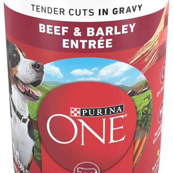 Purina ONE Natural Wet Dog Food Gravy, Tender Cuts in Gravy Beef and Barley Entre - 13 Ounce (Pack of 12)