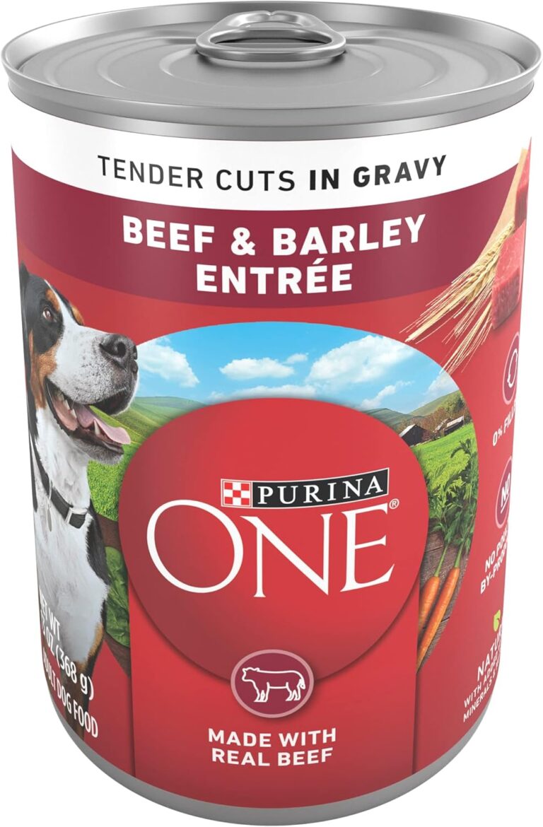 Purina ONE Natural Wet Dog Food Gravy, Tender Cuts in Gravy Beef and Barley Entre - 13 Ounce (Pack of 12)