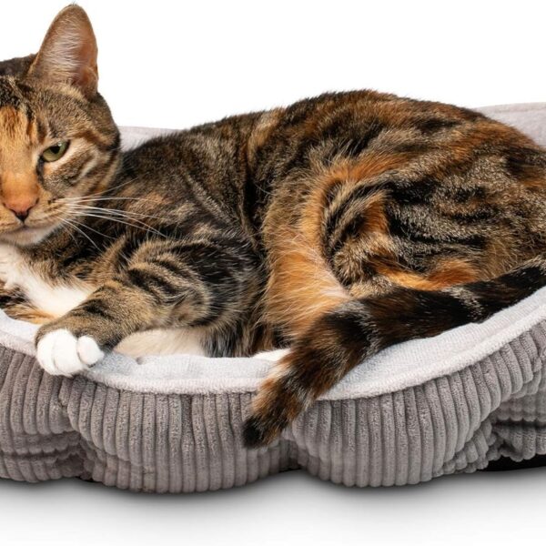 Pet Craft Supply Cat Bed for Indoor Cats - Kitten Bed - Machine Washable - Ultra Soft - Self Warming - Refillable Catnip Pouch,Grey,19x14x5 Inch (Pack of 1)