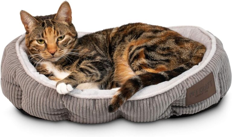 Pet Craft Supply Cat Bed for Indoor Cats - Kitten Bed - Machine Washable - Ultra Soft - Self Warming - Refillable Catnip Pouch,Grey,19x14x5 Inch (Pack of 1)