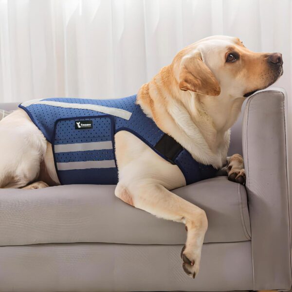 Dog Anxiety Vest, Comfort Dog Anxiety Relief Jacket, Breathable Shirts for Dogs, Soft Dog Anxiety Coat Vest, Puppy Anxiety Warp Calming Shirt for Pet (XS, Blue)