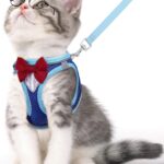 Cat Vest Harness and Leash Set for Walking Escape Proof, Adjustable Kitten Harness Breathable Mesh with Reflective Strips Harness for Kitty Puppy Bunny (Blue, XS)