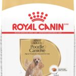 Royal Canin Breed Health Nutrition Poodle Adult Dry Dog Food, 10 lb Bag