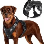 rabbitgoo Tactical Dog Harness for Large Dogs, No Pull Military Service Vest with Handle & Molle, Easy Control for Training Walking, Adjustable Reflective Straps, Black, L