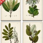 Set of 4 Sage Botanical Wall Art Prints 8x10 Unframed  Vintage Green Plant Prints for Bathroom, Kitchen, or Living Room Decor  Nature-Inspired Botanical Artwork, Elegant Home Wall Art Collection