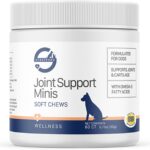 Stratford Pharmaceuticals Joint Support Minis Soft Chews for Small Dogs w/ Glucosamine Chondroitin MSM, Joint and Hip Pain Relief, 60 Count