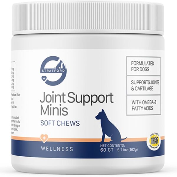 Stratford Pharmaceuticals Joint Support Minis Soft Chews for Small Dogs w/ Glucosamine Chondroitin MSM, Joint and Hip Pain Relief, 60 Count