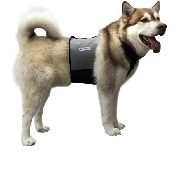 CoolerDog Dog Cooling Vest and Cooling Collar - Ice Vest for Dogs Large (27" to 34" Girth)
