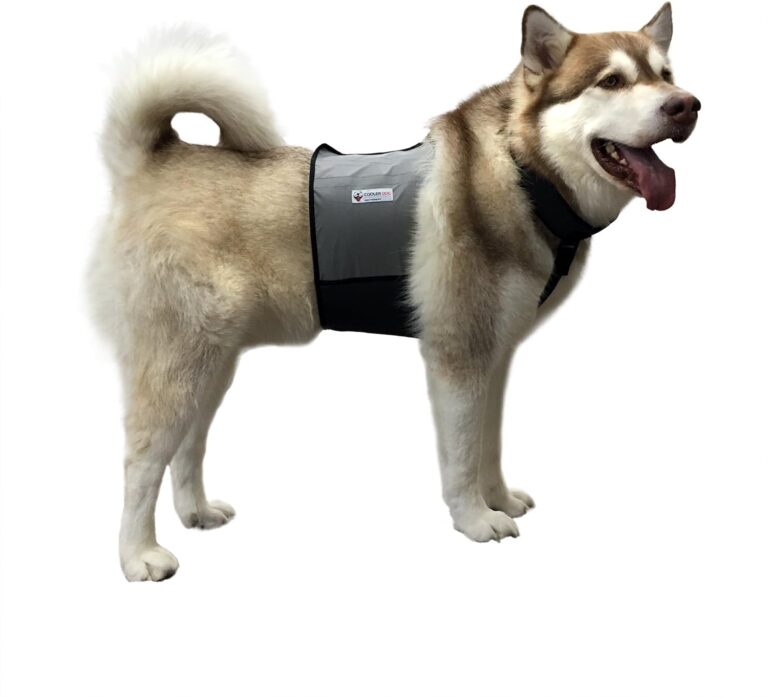 CoolerDog Dog Cooling Vest and Cooling Collar - Ice Vest for Dogs Large (27" to 34" Girth)