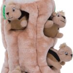 Outward Hound Hide-A-Squirrel Dog Toy  Interactive 2in1 Plush Puzzle with 6 Squeaky Removable Squirrels, X-Large