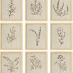 97 Decor Botanical Wall Art - Vintage Botanical Prints, Plant Art Wall Decor, Neutral Floral Wall Art Pictures, Beige Flower Poster Paintings, Flower Sketch Drawing for Bedroom (8x10 UNFRAMED)
