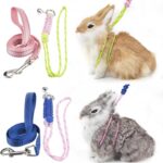 2pcs Figure 8 Harness and Leash with Reflective Strap and Bell for Ferrets, Rabbits, Bearded Dragon, Guinea Pig, Chinchilla and Hamster Small Animal Harness (Blue+Pink)