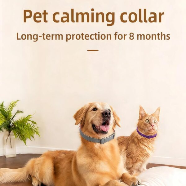 Calming Collar for Dogs 4-Pcs, Pheromone Collar for Dogs, Relief Anxiety Stress Separation, Lasts 30 Days,25 Inches Size Flexible Adjustable for All Small Medium and Large Dog (4, Gray)