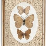 uniro Vintage Butterfly Canvas Wall Art, Bedroom Bathroom Shelf Retro Butterfly Illustration Room Decor, Canvas Prints, Posters Wall Decor Antique Paintings Home Farmhouse Wall Decor