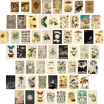 Containlol 60 Pcs Vintage Wall Collage Kit Maximalist Paintings Art Prints Botanical Illustration Tarot Aesthetic Vintage Prints Cards Photo Wall Collection Aesthetic Collage Dorm Bedroom Decor