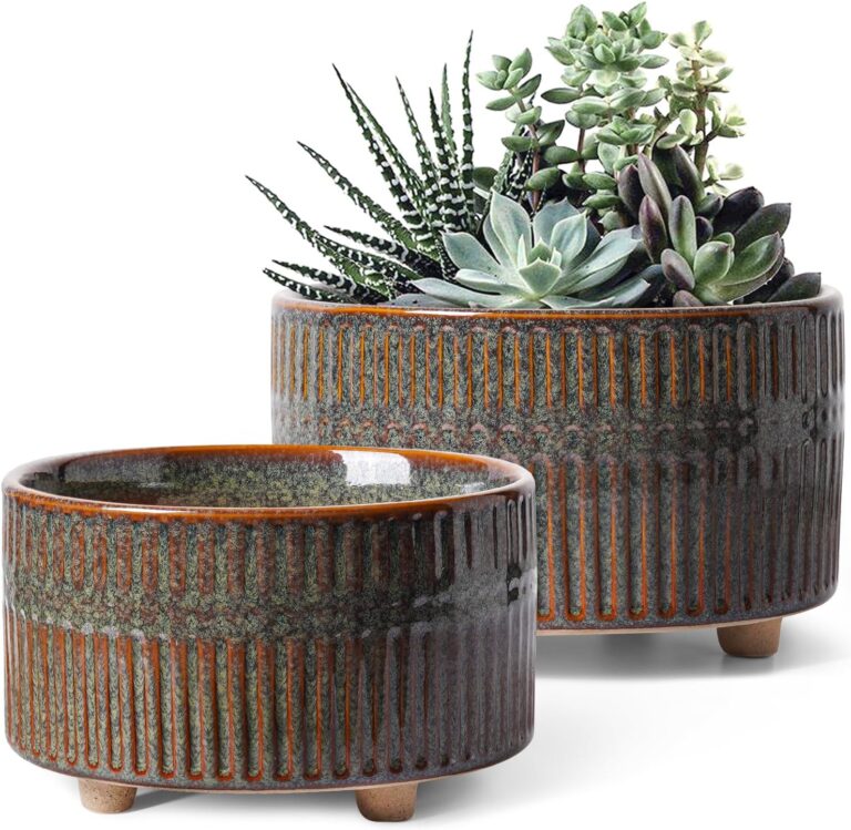 LE TAUCI Succulent Pots, 6.5+8 Inch Ceramic Pots for Plants Indoor, Shallow Round Succulent Planters with Drainage Hole, Set of 2, Reactive Glaze Black