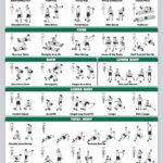 Palace Learning QUICKFIT Kettlebell Workout Exercise Poster | Illustrated Guide | Kettle Bell Routine (Laminated, 18" x 24")