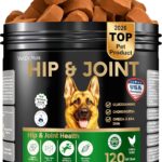 Dog Joint Supplement Chews with Glucosamine & MSM & Omega 3Joint Support for Senior & Large Breed Dogs, Alternative for Longevity & Healthy Aging, Mobility Treatment & Flexibility with CoQ10-120 Ct