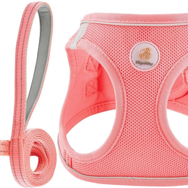 Hipubby Dog Harness and Leash Set, No Pull Soft Mesh Puppy Harness for Small Medium Dogs, Cats - Step in Reflective Breathable Lightweight Vest Harness for Walking, Training - Pink, S