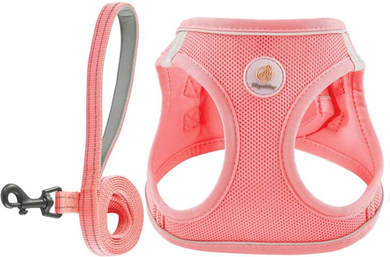 Hipubby Dog Harness and Leash Set, No Pull Soft Mesh Puppy Harness for Small Medium Dogs, Cats - Step in Reflective Breathable Lightweight Vest Harness for Walking, Training - Pink, S