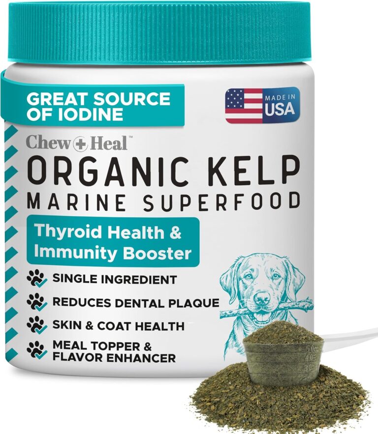 Sea Kelp Powder for Dogs - Thyroid, Dental & Plaque Support, Skin & Coat - Chew + Heal Labs Iodine-Rich 4 oz Kelp Supplement, Immune Health, Natural Seaweed Meal Topper with 5cc Spoon, Made in USA