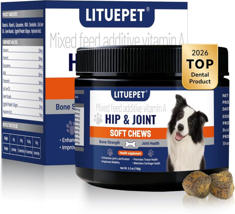 Hip & Joint Supplement for Dogs - Advanced Glucosamine MSM Chondroitin with Turmeric - 10-in-1 Veterinarian Formulated Joint Pain Relief for Large Breed Senior Dogs - 60 Tablets