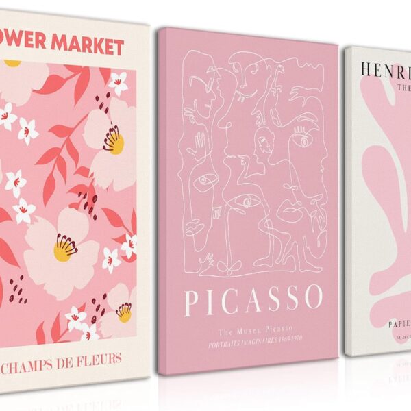 Djmwtb 3 Piece Canvas Wall Art Pink Wall Decor Matisse Prints Picasso Paintings Cute Pictures Abstract Artwork for Girls Bedroom Dorm Apartment 12x16in Framed