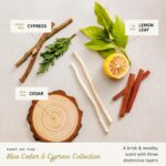 Cremo Cologne For Men – Blue Cedar & Cypress Mens Cologne Spray, A Woodsy Scent with Notes of Lemon Leaf, Cypress and Cedar, Multi-Layered Signature Men’s Fragrances, 3.4 Fl Oz