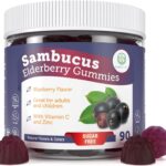 Sugar-Free Elderberry Gummies with Vitamin C & Zinc for Adults and Kids, Immune Support Supplement for Respiratory Health, Sambucus Elderberry Antioxidant Gummies - Vegan, 90 Count