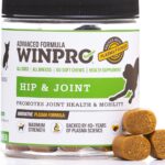 WINPRO Hip & Joint Supplement for Dogs - Plasma Powered Soft Chews for Joint Health & Mobility  Fast-Acting with Collagen & Natural Ingredients for Dogs of All Breeds  60 Chews