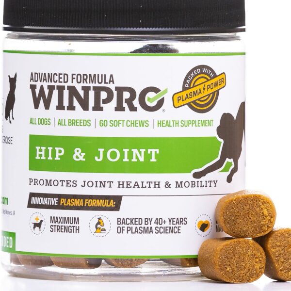 WINPRO Hip & Joint Supplement for Dogs - Plasma Powered Soft Chews for Joint Health & Mobility Fast-Acting with Collagen & Natural Ingredients for Dogs of All Breeds 60 Chews