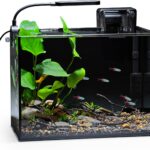 NICREW 2.5 Gallon Nano Nature Aquarium Kit, Ultra-Clear Rimless Desktop Fish Tank with Light, Filter, Gravel and Rock, Perfect for Small Fish, Shrimp, or Betta, Complete Version, Black