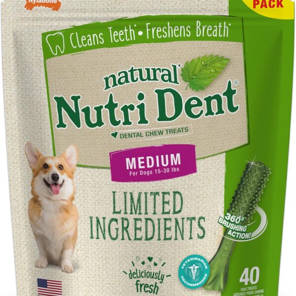 Nylabone Nutri Dent Dog Dental Treats - Natural Dog Teeth Cleaning & Breath Freshener - Dental Treats for Dogs - Fresh Breath Flavor, Medium (40 Count)