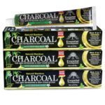 Organic Bamboo Charcoal Toothpaste 100% Natural Teeth Whitening 3 Pack Oral Care - 6.5 oz
