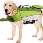 EMUST Life Jacket for Dogs, Adjustable Dog Life Vest for Swimming & Boating, Pet Safety Vest with Durable Rescue Handle and Reflective Stripes, Green, XL