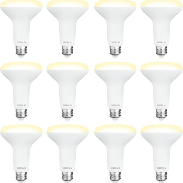 12 Pack BR30 LED Recessed Light Bulb, Dimmable Indoor Flood Light Bulbs CRI80 7W Equivalent 65W 2700K Soft White 650 Lumens, 15000 Lifetime Hours E26 Base LED Can Light Bulb, Flicker-Free