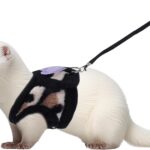 Small Animal Harness and Leash Set, Leopard Print Ferret Leash and Harness Soft Ferret Clothes Stuff Kit Outdoor Walking Accessories for Tiny Pet Rabbit Bunny Guinea Pig Hamster Puppy Kitten