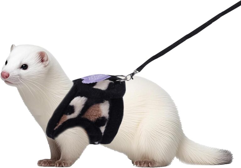 Small Animal Harness and Leash Set, Leopard Print Ferret Leash and Harness Soft Ferret Clothes Stuff Kit Outdoor Walking Accessories for Tiny Pet Rabbit Bunny Guinea Pig Hamster Puppy Kitten