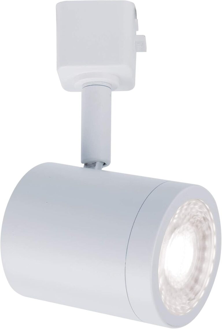 WAC Lighting, Charge LED 10W Line Voltage Track Head 3000K in White for H Track